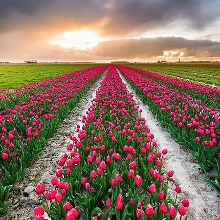 Achterom 7 Hébergement de vacances Hoorn (North Holland)