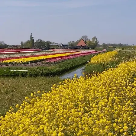 Tatil Evi Achterom 7 Hoorn (North Holland)