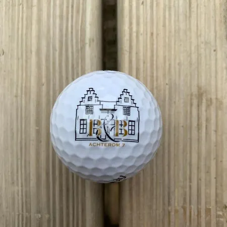 Achterom 7 * Hoorn (North Holland)