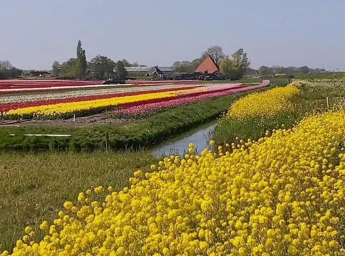 度假居 Achterom 7 霍恩