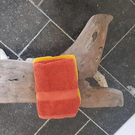 度假居 Achterom 7 *